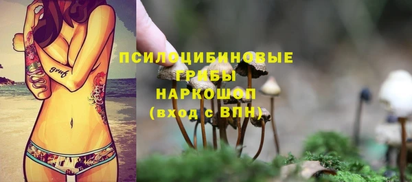 молекула духа Армянск