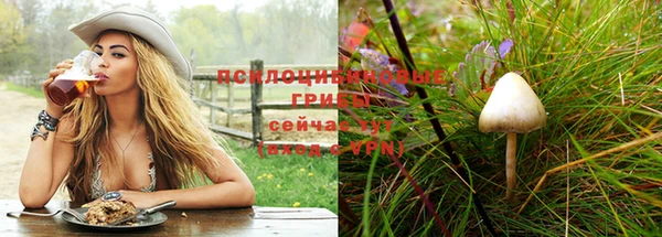 молекула духа Армянск