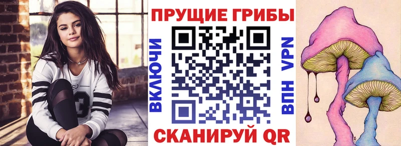 Галлюциногенные грибы Magic Shrooms  где купить наркотик  Долгопрудный 