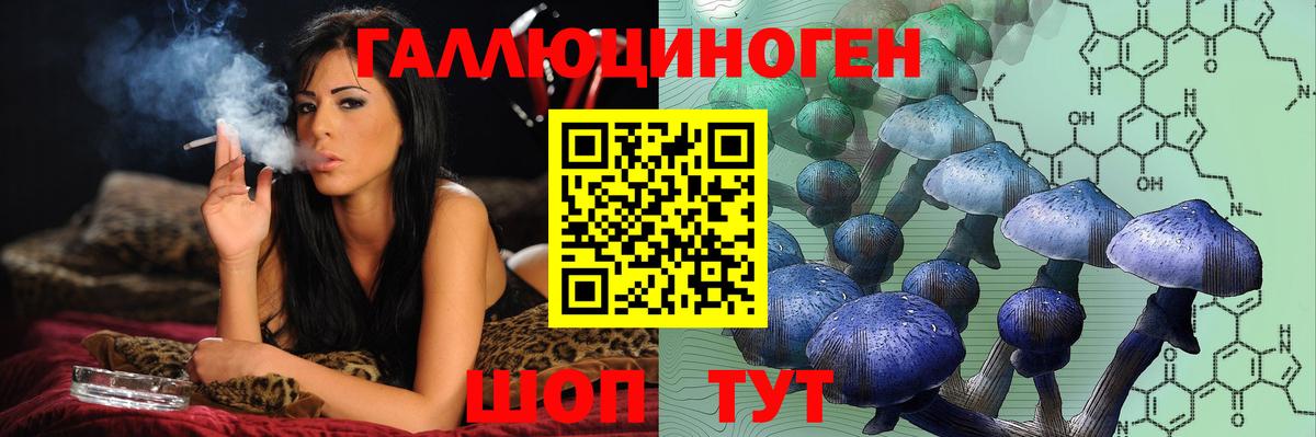 Галлюциногенные грибы прущие грибы Долгопрудный